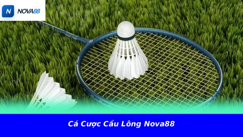 Cá cược cầu lông Nova88