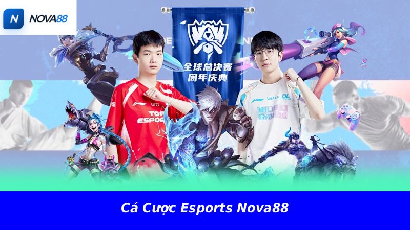 Cá cược Esports Nova88